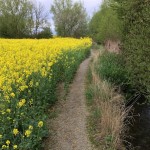 improve-land-management