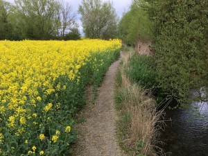 improve-land-management