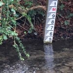 reduce-floods