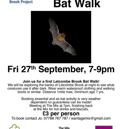 Bat Walk